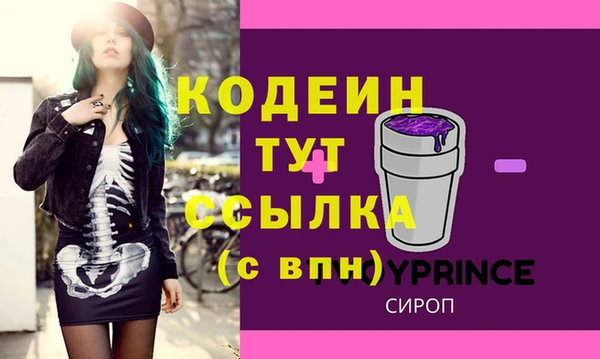 хмурый Новозыбков