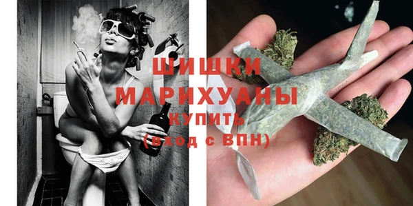 PSILOCYBIN Аркадак