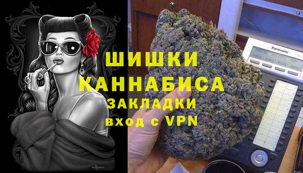 хмурый Новозыбков