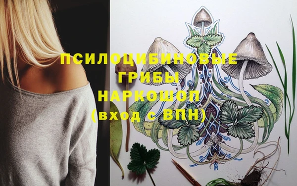 PSILOCYBIN Аркадак