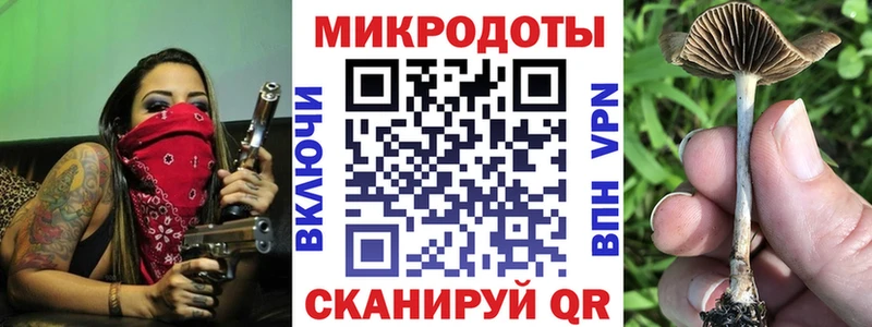Галлюциногенные грибы Cubensis  OMG сайт  Бабушкин 